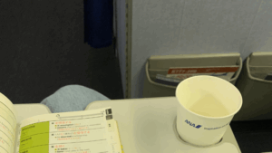 ANAの機内で英単語帳を開いて勉強している様子。出発前に英語を復習する留学生のイメージ。