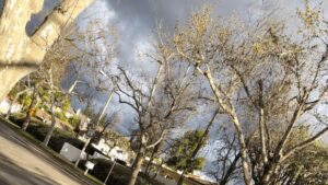 海外赴任の英語準備ガイド（記事まとめイメージ画像）