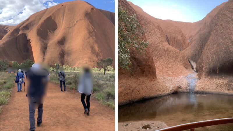エアーズロックの散策路を歩くツアー参加者と池の風景