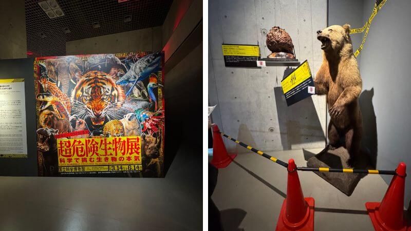 超危険生物展の入場直後にあるキービジュアルとヒグマの展示