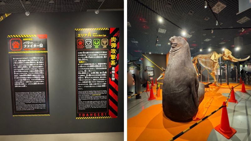超危険生物展のエリアA「肉弾攻撃系危険生物」とパワーファイター型の展示