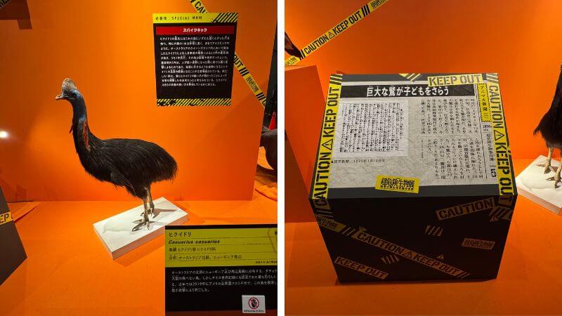 超危険生物展のヒクイドリ展示と関連コラムの写真