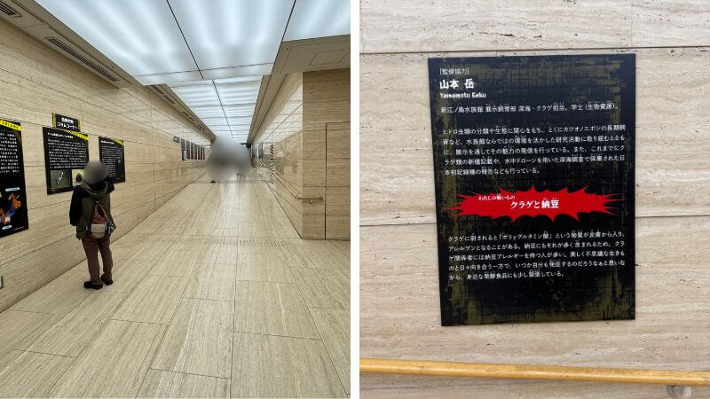 超危険生物展の研究者コラム「私の研究と怖いもの」の掲示