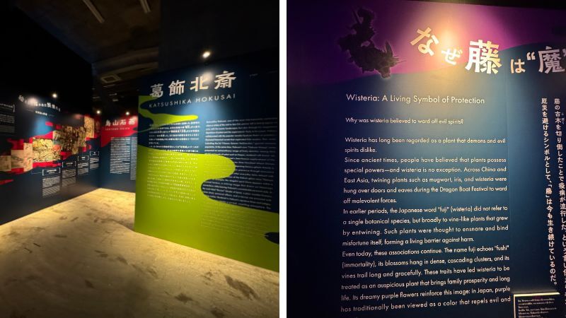 葛飾北斎の解説パネルと、藤についての英語解説パネルがある「動き出す妖怪展 TOKYO」の展示