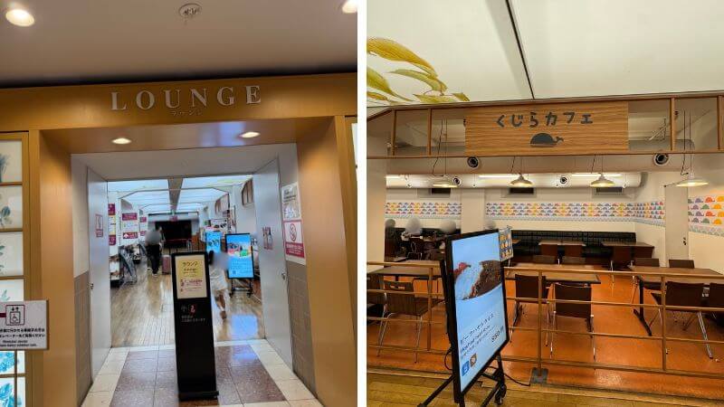 国立科学博物館内ラウンジの入口と「くじらカフェ」の店内
