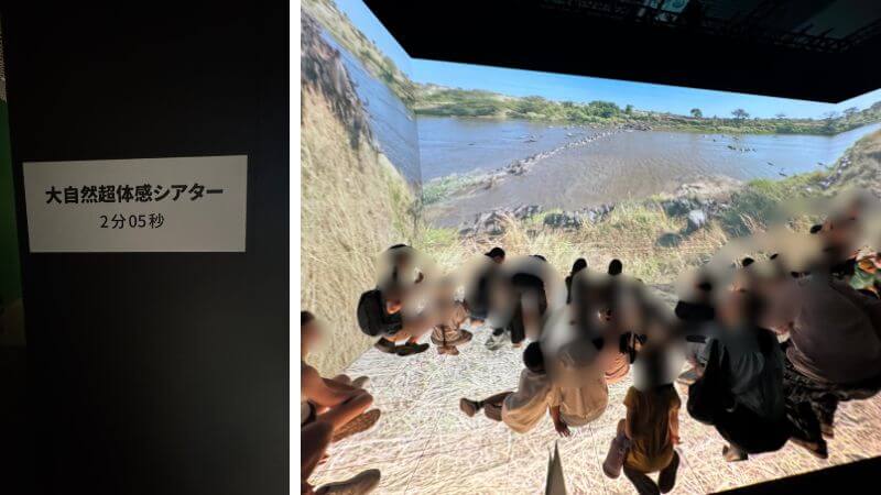 上映時間2分5秒の大自然超体感シアターと会場内の映像展示