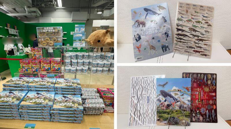 いきもの超ワールド展の特別展オリジナルグッズと購入したクリアファイル、下敷き