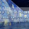 レーヴデリュミエールのメインホールでゴッホの星月夜が壁面に投影されている様子